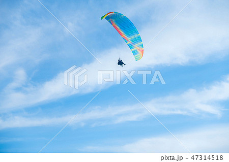 Paragliders in bright blue sky, tandem of instructor and beginner 47314518