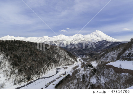 冬の知床 冬の知床 47314706