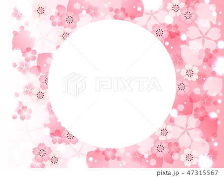 サクラの花の背景 47315567