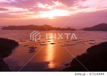 虫明の牡蠣筏   【岡山県瀬戸内市】  47316889