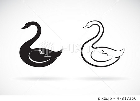 Vector Of Swan Design Animal Easy Editabのイラスト素材