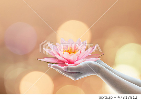 Vesak day, Buddhist lent day, Buddha birthday  47317812