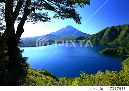 世界遺産 富士山 山梨 本栖湖 新緑 世界遺産 富士山 山梨 本栖湖 新緑 47317953