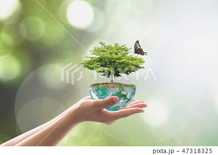 Planting tree on green globe for arbor day, csr 47318325