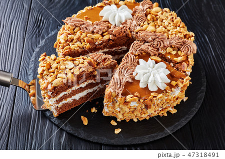 peanut cake topped with cocoa peanut butter cream 47318491