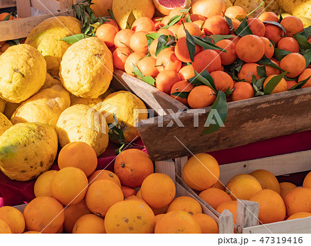 イタリア ジェノバ オレンジ 47319416