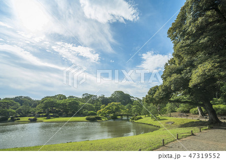 回遊式日本庭園の六義園の松、カエデと紅葉の木に囲まれた大泉水の真ん中の妹山背山を結ぶ田鶴橋の風景。 回遊式日本庭園の六義園の松、カエデと紅葉の木に囲まれた大泉水の真ん中の妹山背山を結ぶ田鶴橋の風景。 47319552