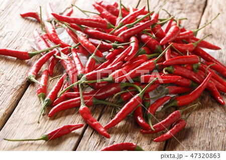 Wild African chilli piri-piri peppers close-up Wild African chilli piri-piri peppers close-up 47320863