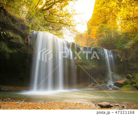 紅葉シーズンの鍋ヶ滝（熊本） 47321168