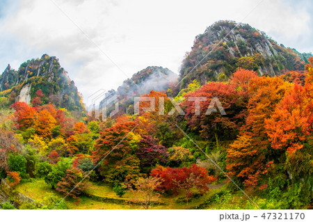 耶馬渓 (一目八景)一面の紅葉風景 耶馬渓 (一目八景)一面の紅葉風景 47321170