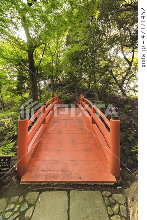東京の小石川後楽園の松と紅葉の森に赤く目立つ擬宝珠の付いた通天橋。 東京の小石川後楽園の松と紅葉の森に赤く目立つ擬宝珠の付いた通天橋。 47321452