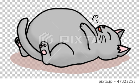 Cat falling asleep on full stomach 47322255