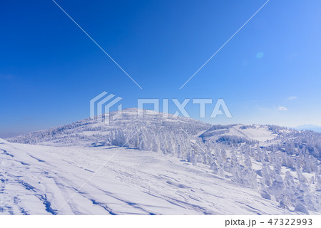 阿仁の樹氷 阿仁の樹氷 47322993