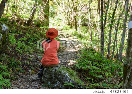 写真素材：登山、休憩、女性、高知県、工石山、登山道 47323462