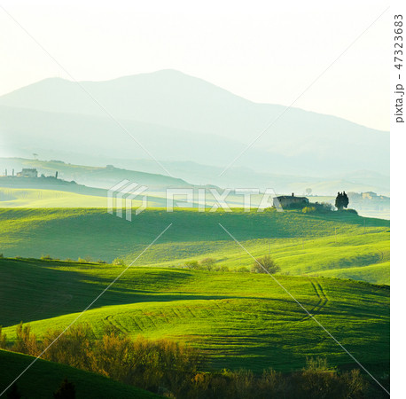 Beautiful green hills in Tuscany, Italy. 47323683