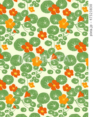 ナスタチウム ナスタチウム 47323830