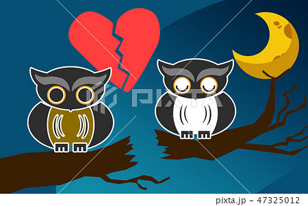 Owls after an argument at night 47325012