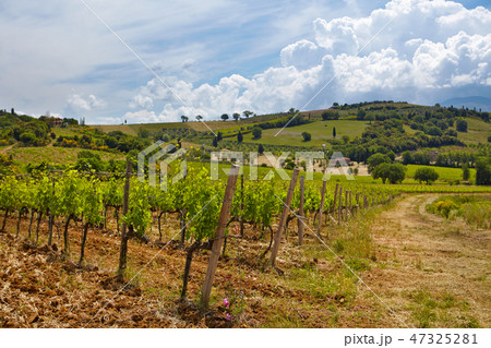 Tuscany Hills and Countryside in SIenna region, Tuscany Hills and Countryside in SIenna region, 47325281