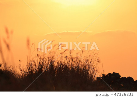 大牟田市　三池港　夕景、 47326833