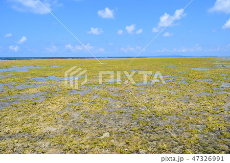 大潮の鳩間島海岸 47326991