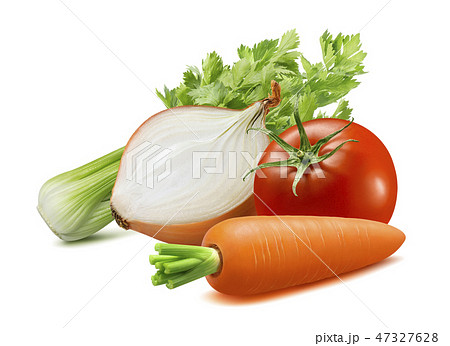 Celery, onion, carrot, tomato. Soup ingredients Celery, onion, carrot, tomato. Soup ingredients 47327628