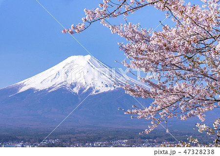 富士山と桜の写真素材