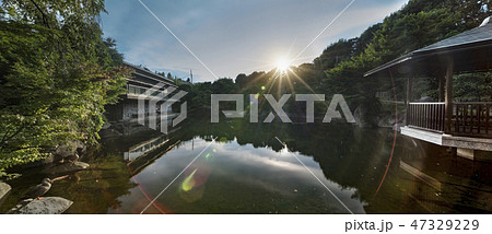 目白庭園の池泉回遊式の池のに水に反射する六角浮き見堂と赤鳥庵のパノラマ撮影。 47329229