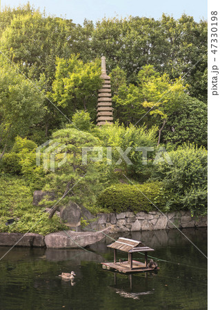 目白庭園の池泉回遊式の池の周りに広がる松や紅葉の木の中から飛び立つ十三重塔の石塔 の写真素材