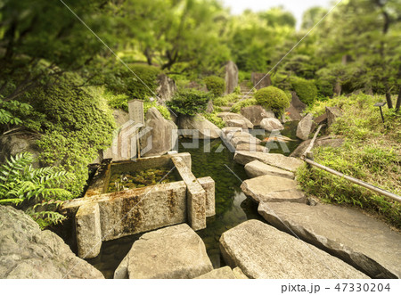 目白庭園の池あお渡って赤鳥庵に繋ぐ敷き詰めた敷石の道。 47330204