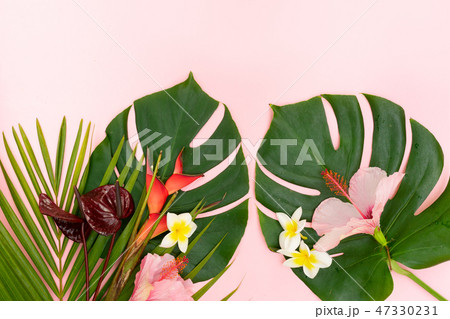 Tropical green leaves 47330231