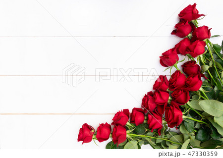 Red roses on white background Red roses on white background 47330359