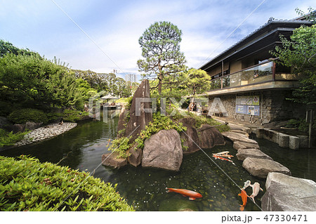 目白庭園の池泉回遊式の周りに広がる巨大な石、松の木、飛石、赤鳥庵と水に反射する六角浮き見堂。 47330471