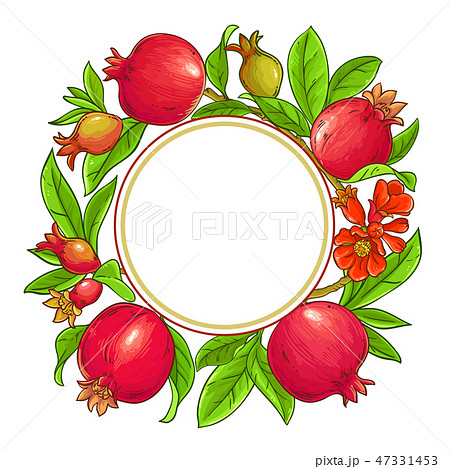 pomegranate vector frame 47331453