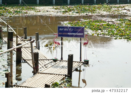 View of red lotus floating market in Nakhon Pathom View of red lotus floating market in Nakhon Pathom 47332217