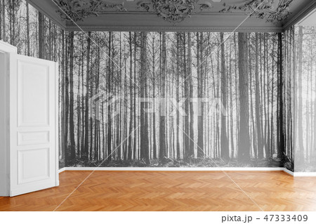 empty room with photo wallpaper  forest landscape  47333409