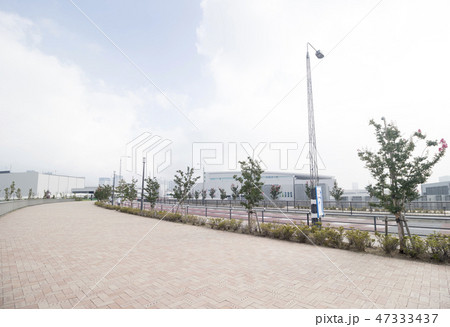 豊洲 豊洲 47333437