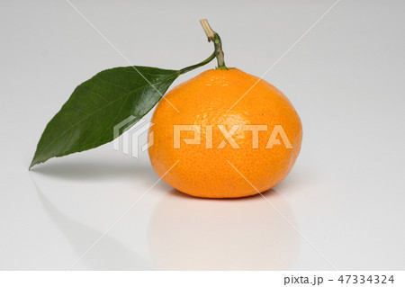 Orange tangerines with green leaves and branches on a white background table. 47334324