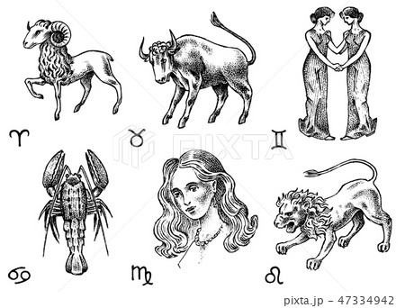 Zodiac icons. Astrology horoscope with signs. Calendar template. Collection outline animals. Classic 47334942