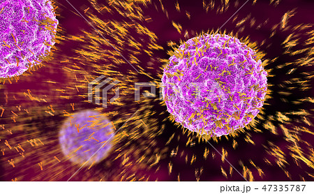 Antibodies attacking virus cell in the bloodstream 47335787
