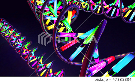 Multicolored neon light-like twisted DNA strand  47335804