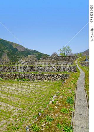 飛騨宮川町　種蔵地区の春風景 47335936