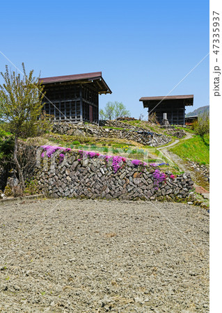 飛騨宮川町　種蔵地区の春風景 47335937