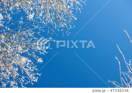 Winter seasonal background 47336336