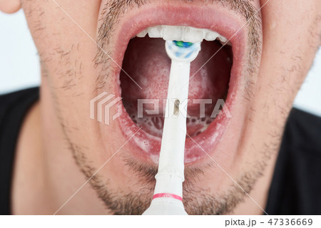 Fast moving electronic toothbrush 47336669
