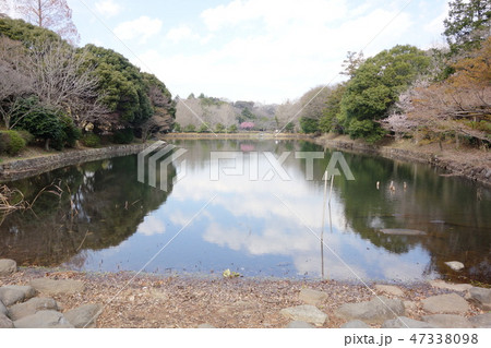 三ッ池公園の写真素材