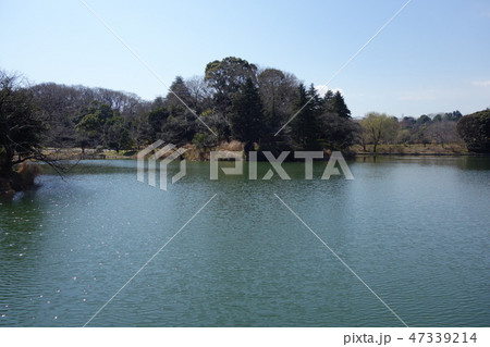 三ッ池公園 三ッ池公園 47339214