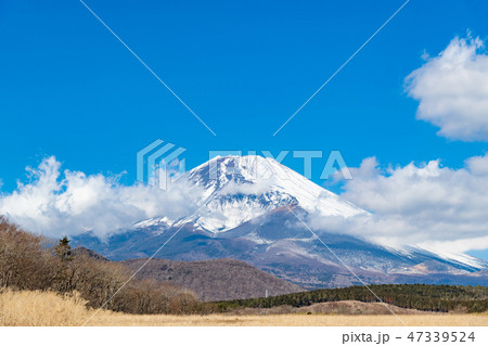 富士山 冬 静岡県裾野市 富士山 冬 静岡県裾野市 47339524