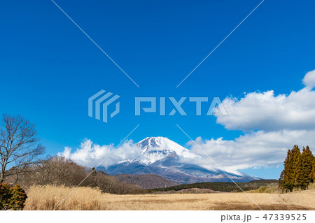 富士山 冬 静岡県裾野市 富士山 冬 静岡県裾野市 47339525