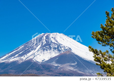 富士山 冬 静岡県裾野市 富士山 冬 静岡県裾野市 47339535