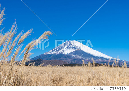 富士山 冬 静岡県裾野市 富士山 冬 静岡県裾野市 47339559